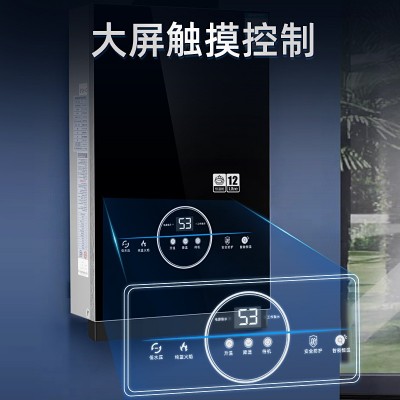 现货厂家批发12L强排恒温燃气热水器家用天然气热水器 煤气热水器图4