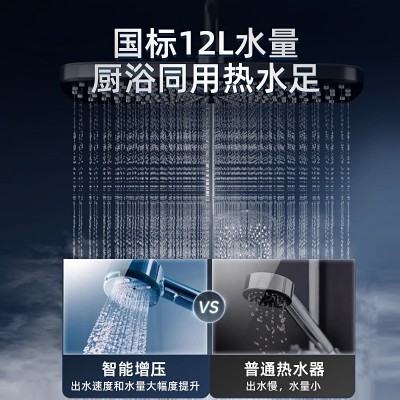 现货厂家批发12L强排恒温燃气热水器家用天然气热水器 煤气热水器图3