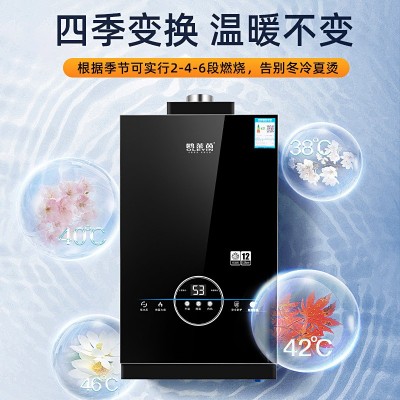 现货厂家批发12L强排恒温燃气热水器家用天然气热水器 煤气热水器图2