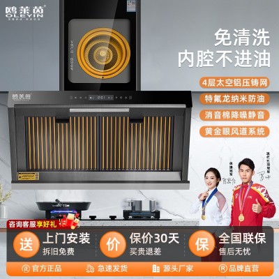 现货油烟机家用厨房大吸力油烟分离抽油烟机侧吸式吸油烟机批发图1