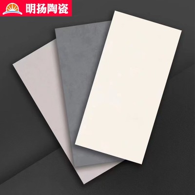 厂家定制750*1500摩卡瓷砖干粒抛瓷砖大板砖水泥瓷砖素色柔光大板图5