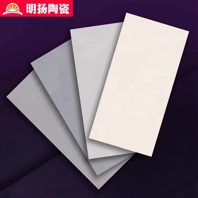 厂家定制750*1500摩卡瓷砖干粒抛瓷砖大板砖水泥瓷砖素色柔光大板图4