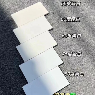 佛山瓷砖天鹅绒柔光超白坯奶白色咖色瓷砖600X1200微水泥瓷砖地砖  1片图4