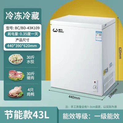 定制卧式冷柜小冰柜家用节能省电小型迷你全冷冻冷藏两用急冻双温  1台图3