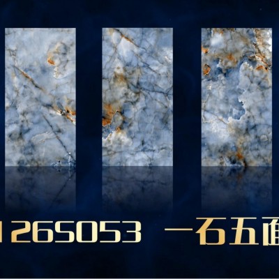 广东佛山灰色通体大理石瓷砖600x1200地板砖客厅墙砖别墅奢石特价      2件图2