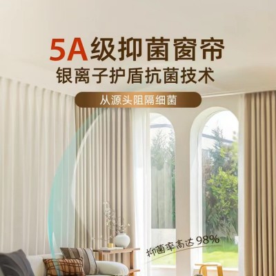 全遮光窗帘隔热抗菌轻奢现代简约防猫抓客厅卧室阳台高温 定型成品      3米图2