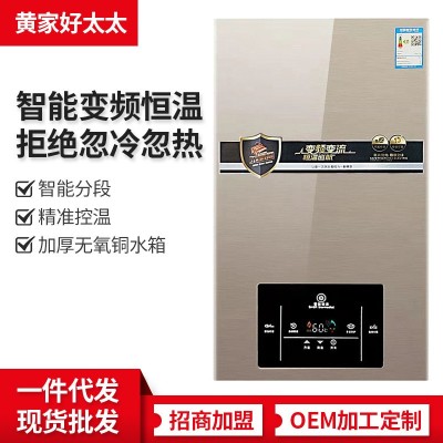 厂家批发家用燃气热水器天然气煤气液化气强排式自动恒温快速即热  1件图2