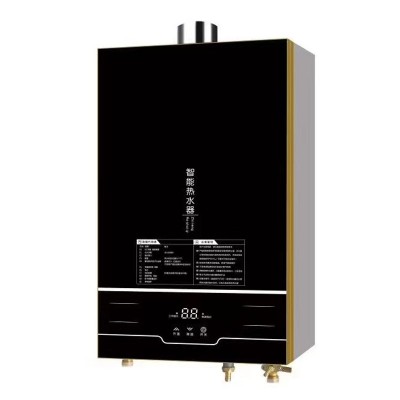 燃气热水器12L 16L升家用强排节能天然气煤气热水器 厂 家批发  1件图5