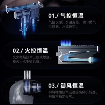 平衡式天然气热水器 家用数码恒温强排式煤气热水器现货批发  1台图5