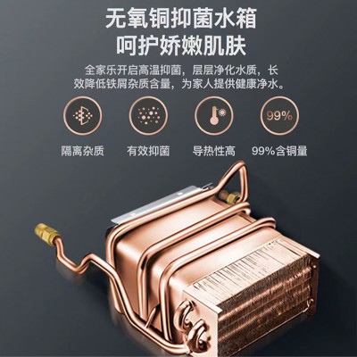 平衡式天然气热水器 家用数码恒温强排式煤气热水器现货批发  1台图4