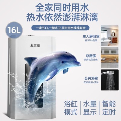 批发燃气热水器家用洗澡恒温天然气液化气煤气强排式平衡式零冷水  1件图2
