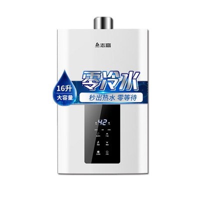 志高家用燃气热水器智能恒温定时变频低压启动水汽双调强排 热水器   1件图5