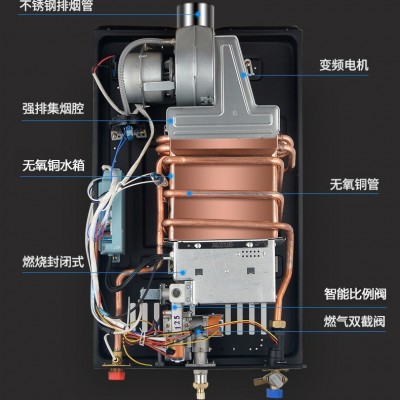 定制家用立式低压启动即开即热四分段零冷水强排式恒温燃气热水器  1台图2