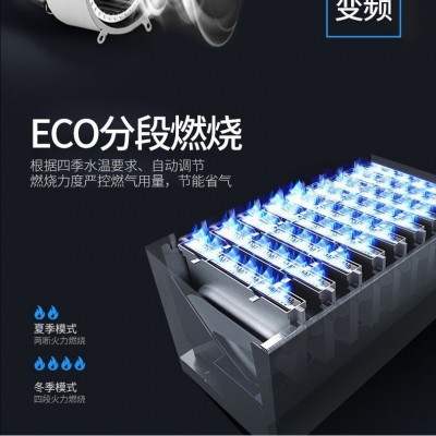 现货家用微火控制四分段零冷水强排式恒温燃气热水器天然气 液化气  1件图3