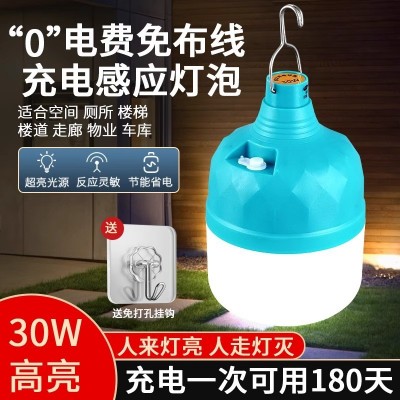 led充电雷达人体感应灯无线楼道楼梯走廊过道室外厕所不插电灯泡        1只图2