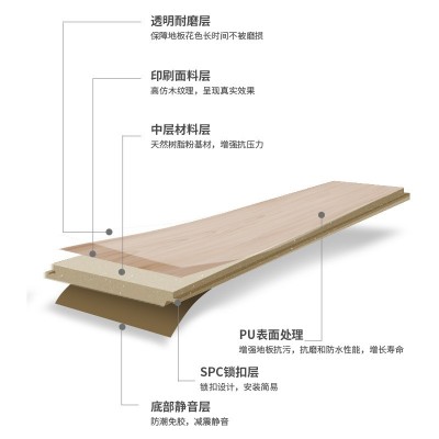 拍样专用石纹木纹地板贴商用水泥地专用医院舞蹈室幼儿园样片     1平方米图5