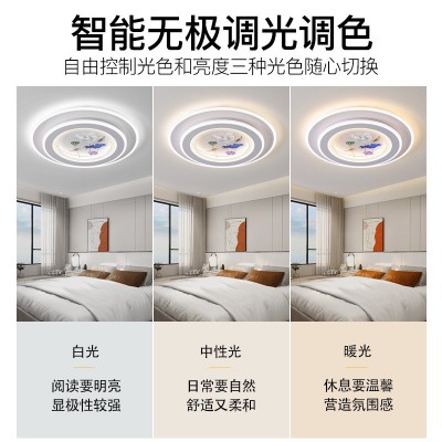 卧室灯新款网红led吸顶灯房间创意主卧室灯饰全屋简约灯具  1件图4