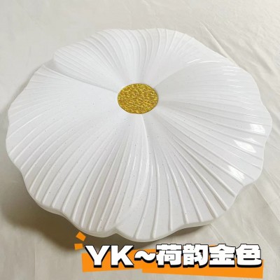 2024新款欧式简约风异形卧室灯梅花灯 led吸顶灯客厅阳台灯批发  1件图2