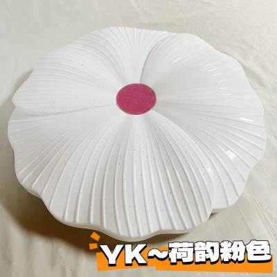 2024新款欧式简约风异形卧室灯梅花灯 led吸顶灯客厅阳台灯批发  1件图4