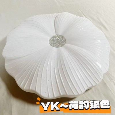 2024新款欧式简约风异形卧室灯梅花灯 led吸顶灯客厅阳台灯批发  1件图3