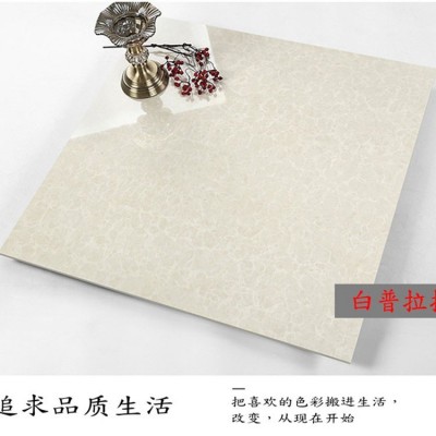定制抛光玻化砖800*800 通体大理石负离子客厅卧室加厚地板砖地砖     1片图3