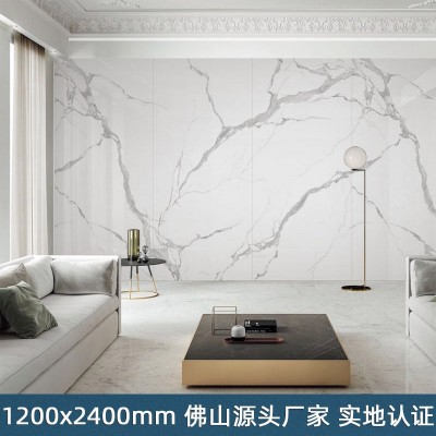 佛山瓷砖1200*2400连纹大理石岩板电视背景墙瓷砖酒店大堂护墙砖  2片图4