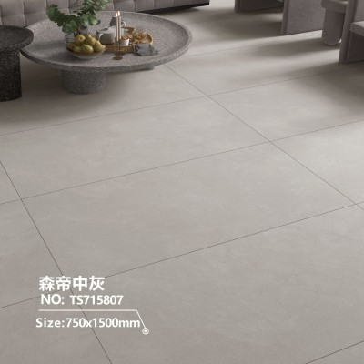 肌肤釉素色柔光砖750x1500微水泥通体大理石客餐厅厨房卧室地砖  1片图3