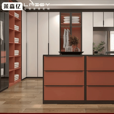 定制衣柜转角推拉门衣帽间整体卧室轻奢家装全屋家具定做金属家具    1平方米图4