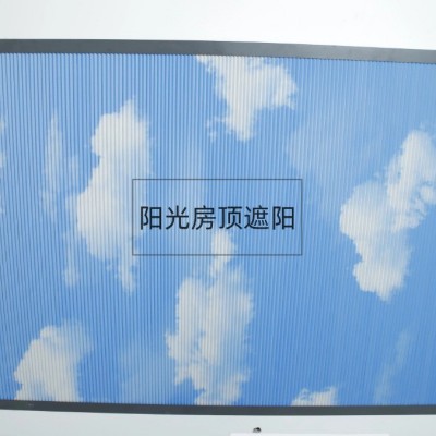 加厚蜂巢帘现代简约客厅书房酒店走廊阳光房工厂现货批发透光  2平米图5
