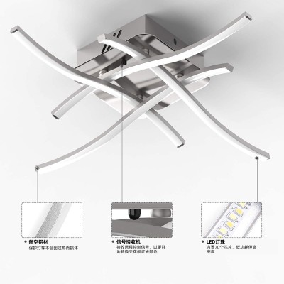 遥控led吸顶灯客厅卧室灯饰照明家装灯具过道走廊阳台线条餐厅灯     1个图4