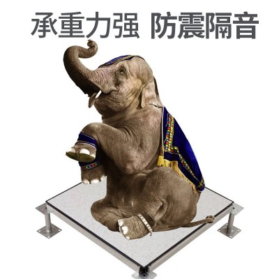 厂家供应高架空pvc全钢防静电地板600*600抗静电防水耐磨地板定制     1平方米图2