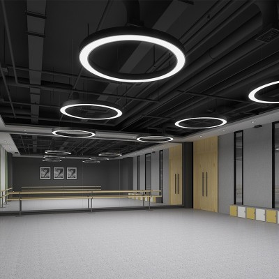 圆形圆环吊灯LED创意个性办公室店铺大堂工业风圆圈工程环形吊灯   1个图4