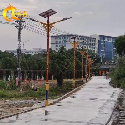 太阳能路灯 新农村建设方形路灯 丝印路灯 图案定制  5套图5