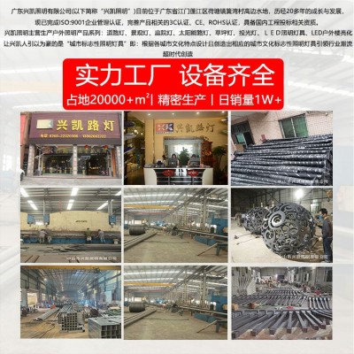 led市政道路双臂路灯8米10米12米户外高杆路灯广场公园高低臂路灯   1个图2