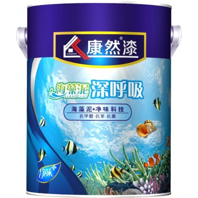 康然漆KR-H1600 墙面漆批发 海藻泥内墙漆涂料品牌 厂家直批 5L   1桶